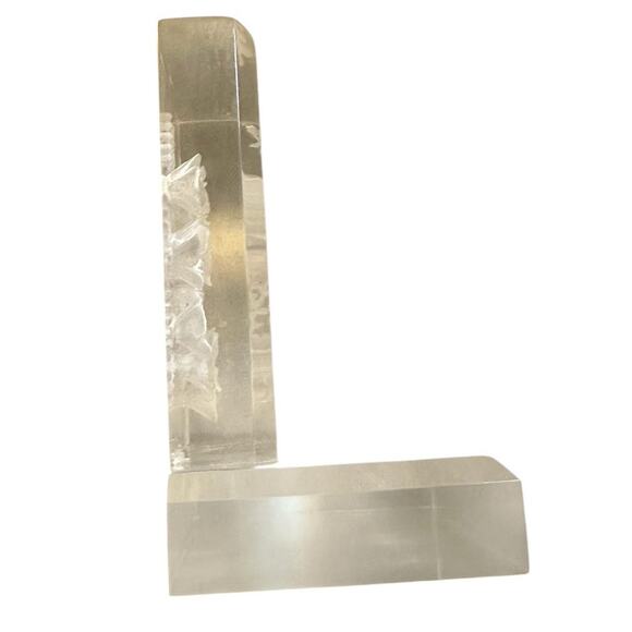 Vintage MCM Midcentury Modern Glass Lucite Flowers Book End Bookend Cottagecore - Picture 2 of 7